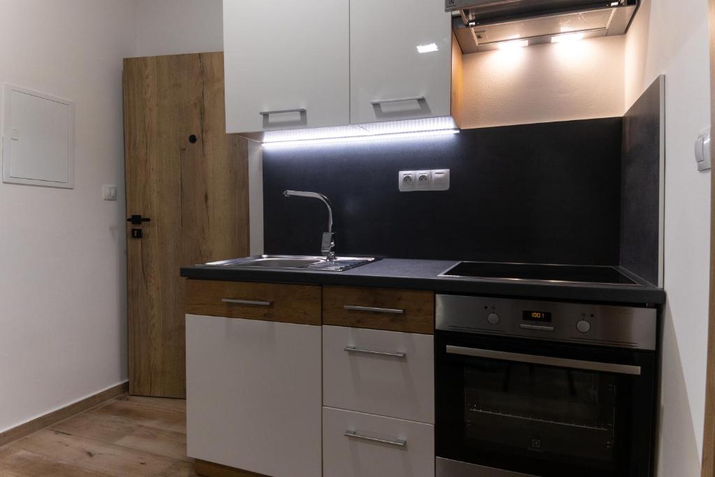 Apartmán Seifertova room 2