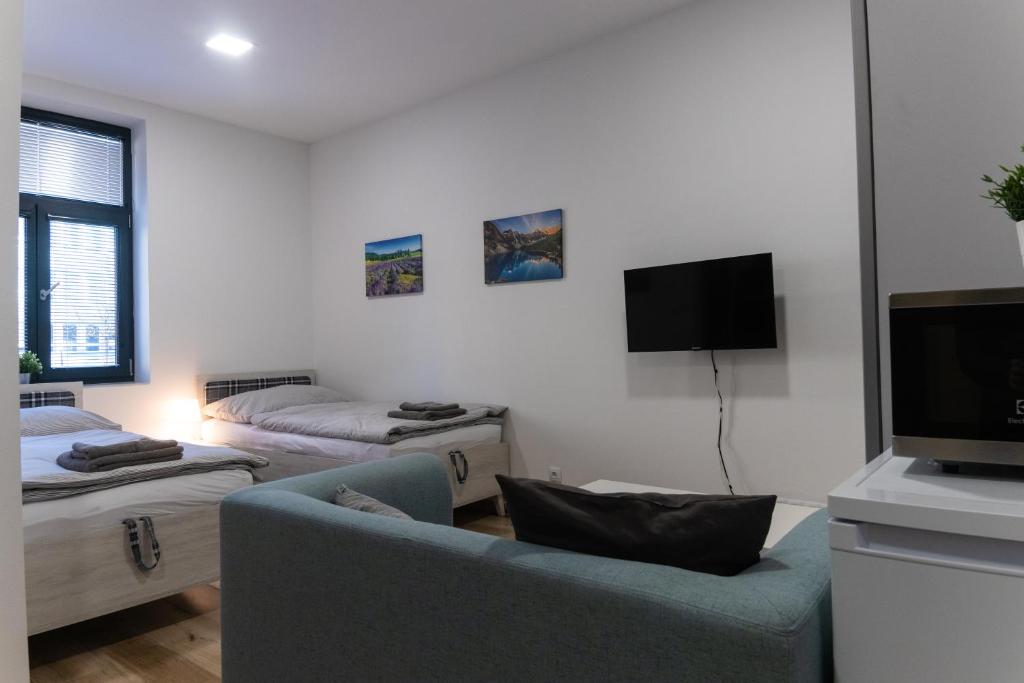 Apartmán Seifertova room 3