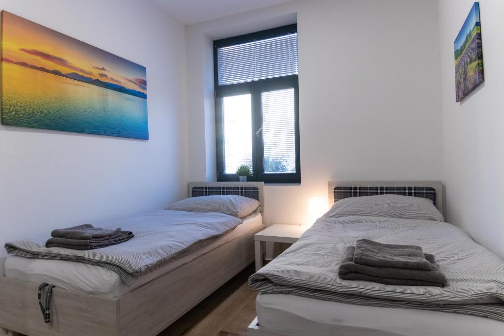 Apartmán Seifertova room 4