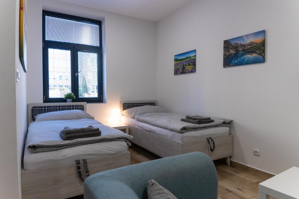 Apartmán Seifertova room 5